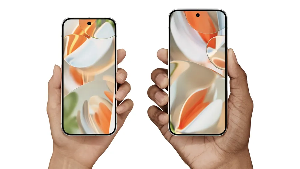 compare-sizes-desktop-caimanporc.width-1000.format-webp_v7hDHax